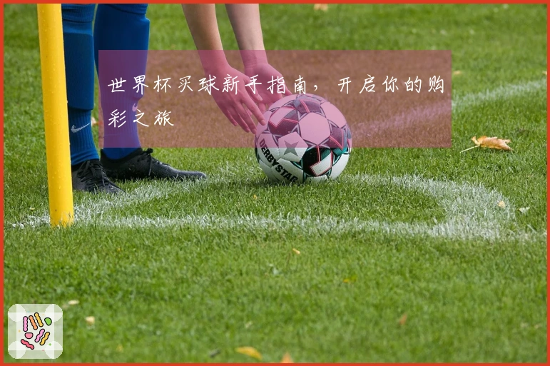 世界杯买球新手指南，开启你的购彩之旅