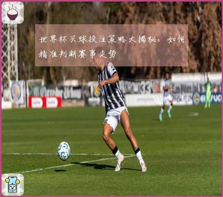 世界杯买球投注策略大揭秘，如何精准判断赛事走势