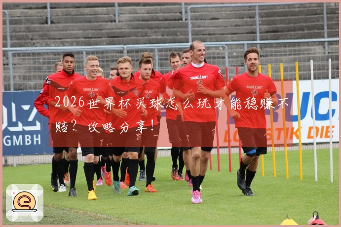 2026世界杯买球怎么玩才能稳赚不赔？攻略分享！